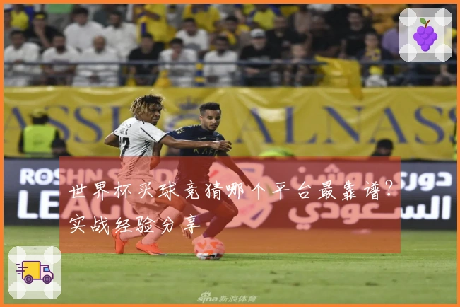 世界杯买球竞猜哪个平台最靠谱？实战经验分享