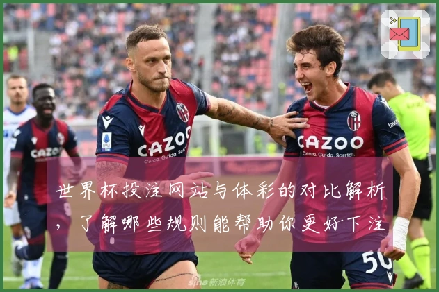 世界杯投注网站与体彩的对比解析，了解哪些规则能帮助你更好下注